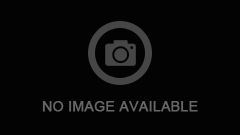 Der Aufstieg der Wahrscheinlichkeiten im Cat Spins Casino